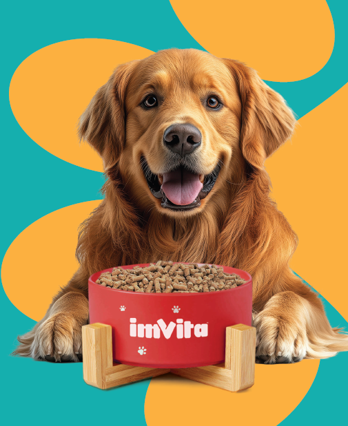 imvita-products-advantages